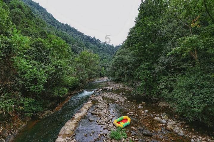 白萝卜炖羊肉的做法大全家常游戏画面